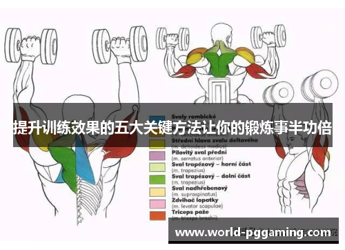 提升训练效果的五大关键方法让你的锻炼事半功倍