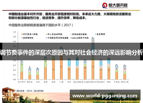 调节费事件的深层次原因与其对社会经济的深远影响分析