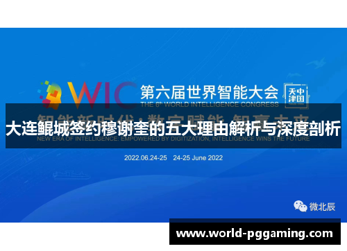 大连鲲城签约穆谢奎的五大理由解析与深度剖析