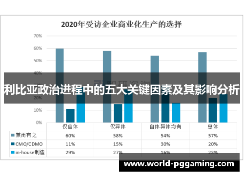 利比亚政治进程中的五大关键因素及其影响分析