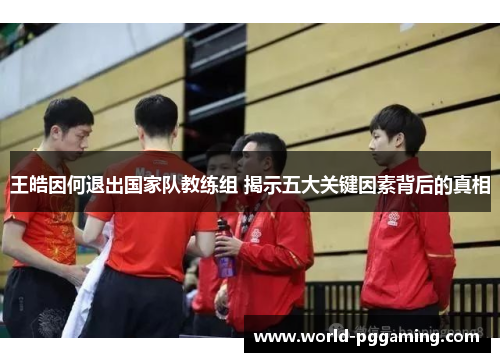 王皓因何退出国家队教练组 揭示五大关键因素背后的真相