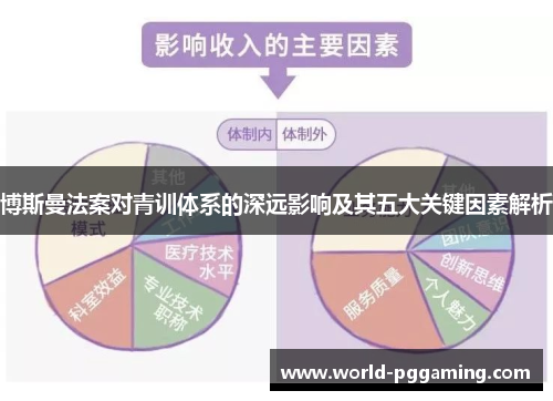 博斯曼法案对青训体系的深远影响及其五大关键因素解析