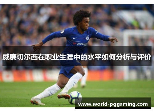 威廉切尔西在职业生涯中的水平如何分析与评价