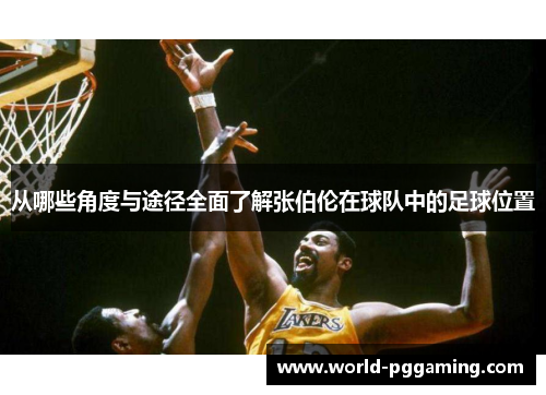 从哪些角度与途径全面了解张伯伦在球队中的足球位置