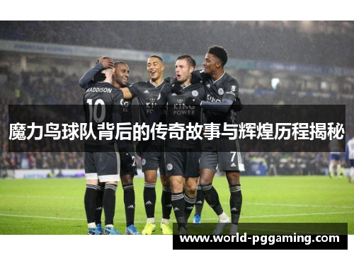 魔力鸟球队背后的传奇故事与辉煌历程揭秘