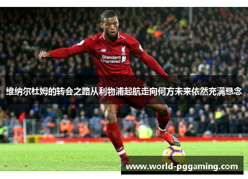 维纳尔杜姆的转会之路从利物浦起航走向何方未来依然充满悬念