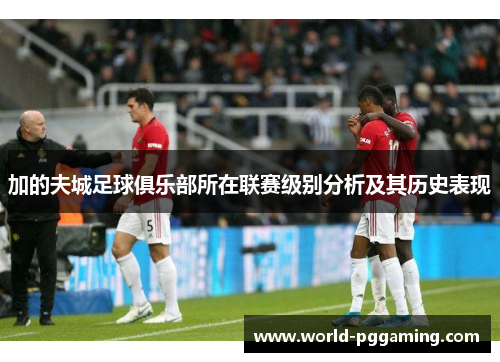 加的夫城足球俱乐部所在联赛级别分析及其历史表现 加的夫城足球俱乐部所在联赛级别分析及其历史表现
