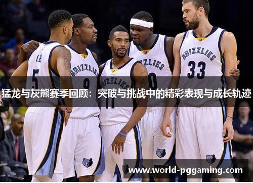 猛龙与灰熊赛季回顾：突破与挑战中的精彩表现与成长轨迹